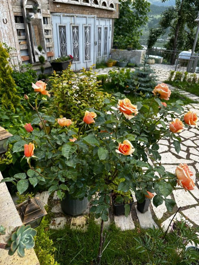 Дехцени Hotel Дилиян Екстериор снимка